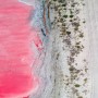 Pink lake discovered in UAE, have a look at amazing photos