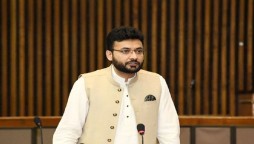 Shehbaz Sharif Wants Mughal Dynasty of Sharif Family In Pakistan: Farrukh Habib