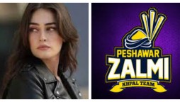 zalmi