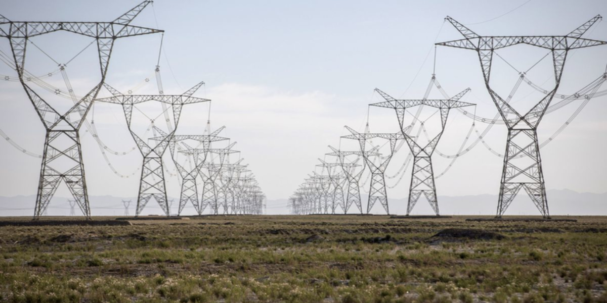 punjab transmission firm