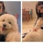 Stylish & beautiful actress Hareem Farooq poses with her pet
