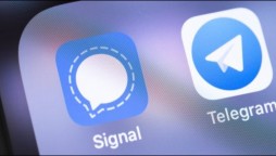 Signal and Telegram