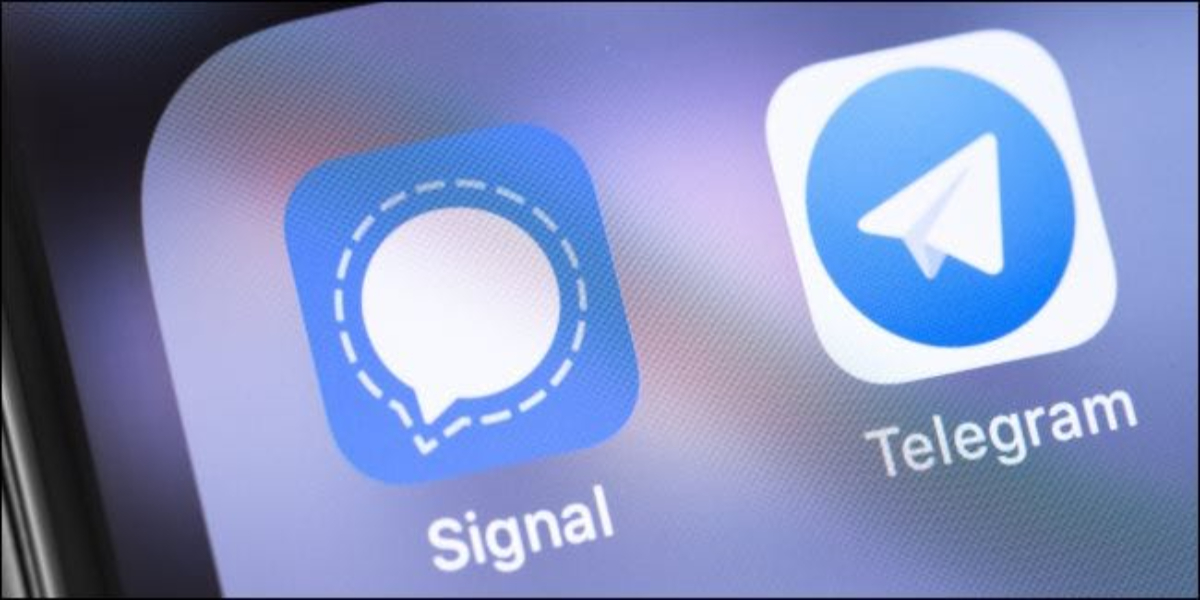 Signal and Telegram