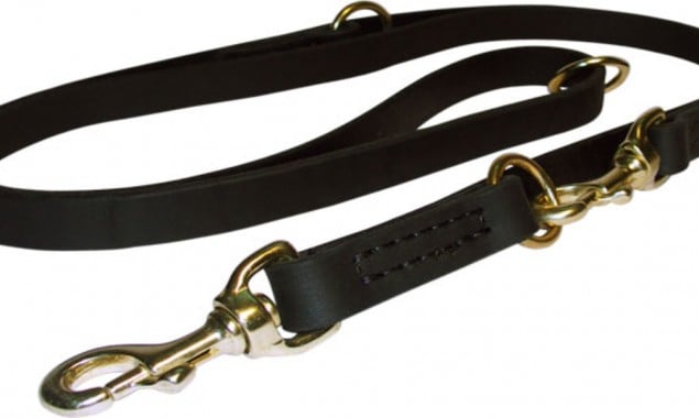 Woman fined by police walking her partner on a leash like a dog