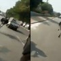 Video: Ostrich on the run in Karachi, injured one person