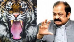 WATCH: Rana Sanaullah makes a ‘roaring entry’ at NAB court wearing ‘Tiger Mask’