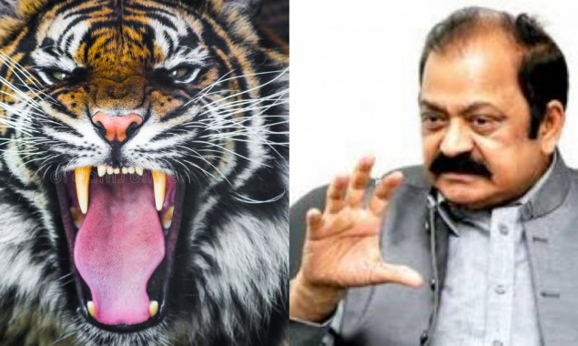 WATCH: Rana Sanaullah makes a ‘roaring entry’ at NAB court wearing ‘Tiger Mask’