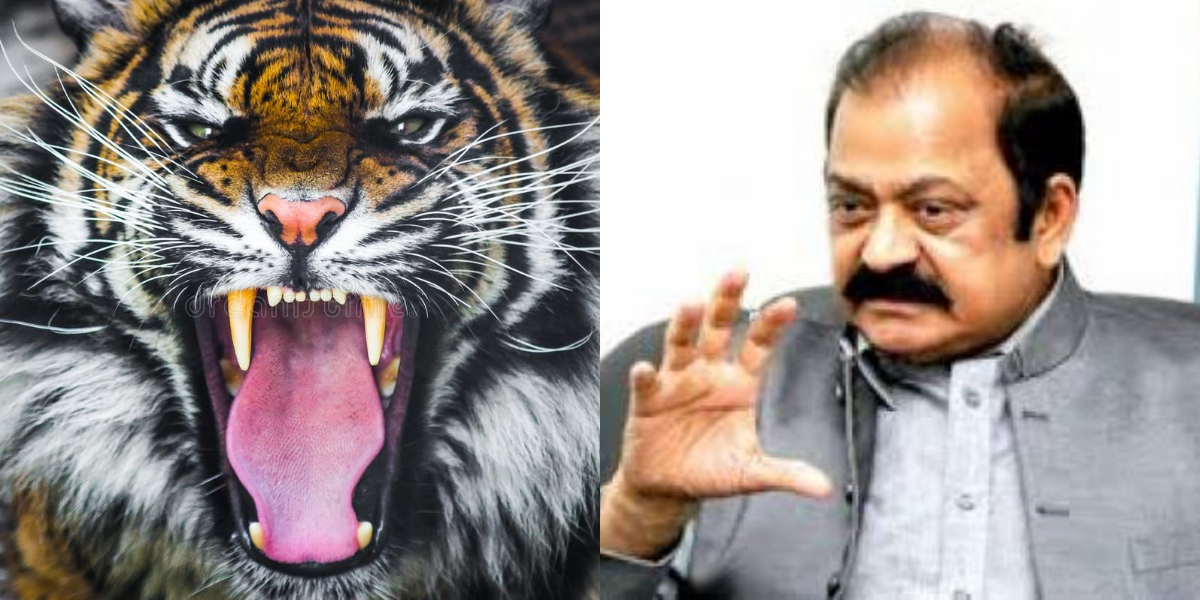 Rana Sanaullah