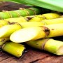 Punjab: More than 70 arrested in crackdown against illegal purchase of sugarcane