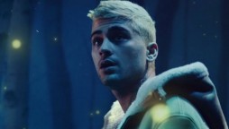 Zayn Malik Vibez