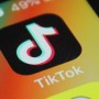 Petition Filed In LHC Seeking Ban On Social Media Apps Including Tiktok