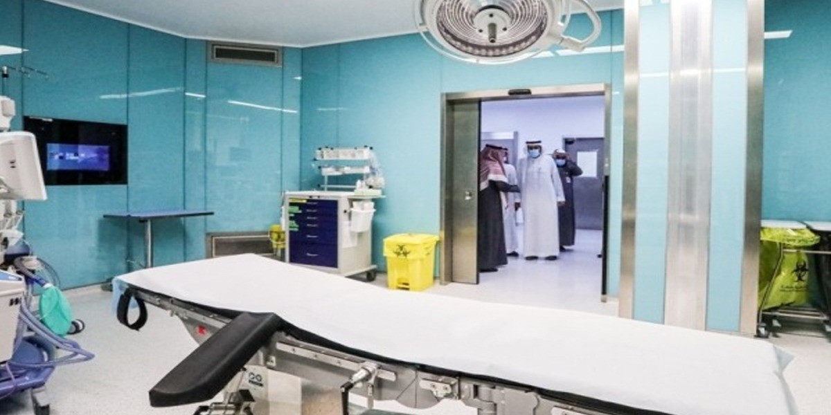 WHO Praises Healthy Cities' Program Implemented By Taibah University