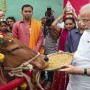 India To Conduct Nationwide ‘Cow Science’ Exam To Protect ‘Sacred’ Animal