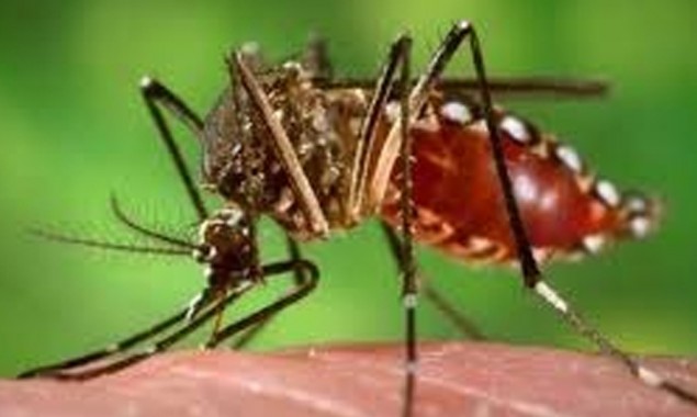 Dengue virus in Sri Lanka kills seven, infects over 17,000 people