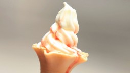 Ice cream tests positive for coronavirus