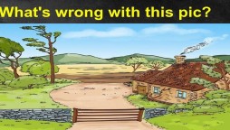 What is wrong in this picture?