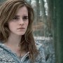 Hollywood actress Emma Watson to take a break from movies