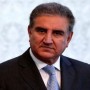 FM Qureshi ensures all steps be taken to protect Palestine