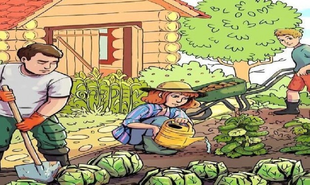 Can you find three hidden words in this picture?