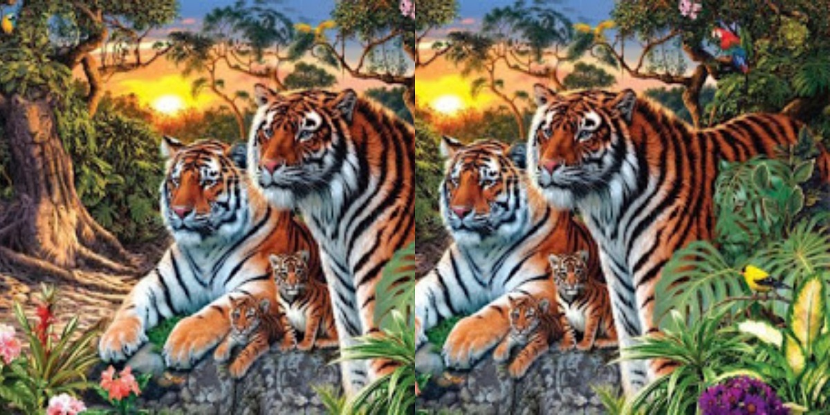 Can you find the number of tigers in this picture?