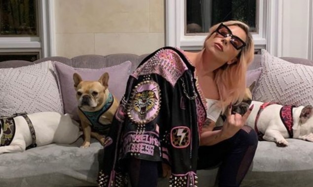 Lady Gaga’s dog walker shot in chest, bulldogs stolen; $500k reward offered For Return