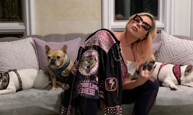 Lady Gaga’s dogs found safe amid robbery