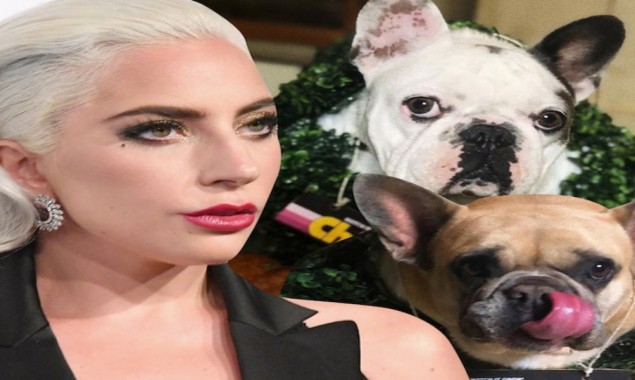 Information of Lady Gaga’s dognappers released