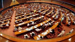 Senate Voting Bill: National Assembly echoes with Opposition whistles