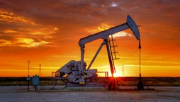 Oil prices to stay high as demand grows: Goldman Sachs