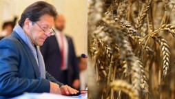 PM Imran Wheat