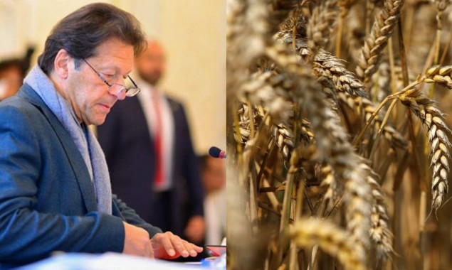 PM approves wheat Support Price Increase to Rs. 1800 per maund