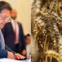 PM approves wheat Support Price Increase to Rs. 1800 per maund