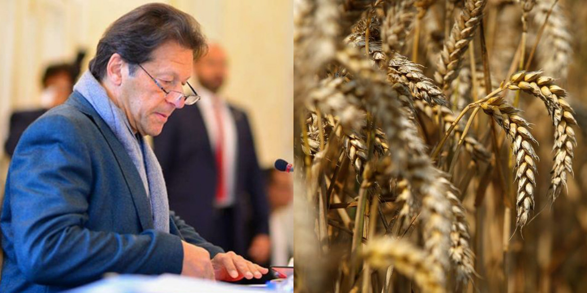 PM Imran Wheat