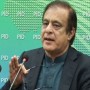 Hamza Shahbaz, Maryam Nawaz destroyed the nation’s morality: Shibli Faraz