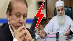PML-N leaders want Nawaz Sharif's leadership to end