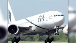 PIA Aircraft escapes mishap following bird strike