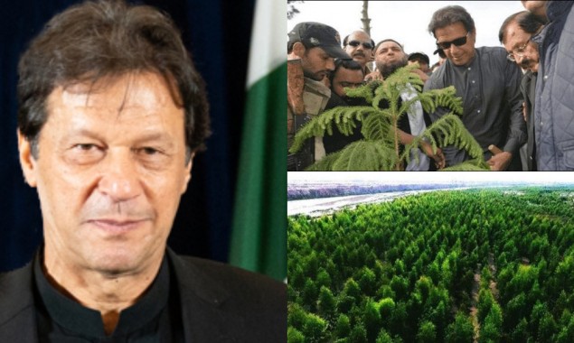 PM to launch 2021 Spring Tree plantation drive in Islamabad