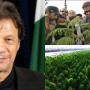 PM to launch 2021 Spring Tree plantation drive in Islamabad