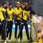 Peshawar Zalmi Kingdom: Is the team welcoming Dananeer into its fold?