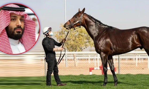 Saudi Arabia To Hold Most Expensive Horse Race In The World