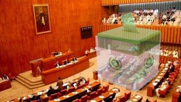 Senate Elections: Mode Of Elections Of Members Of Upper House