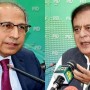 “Hafeez Shaikh carried out financial affairs With Full Efforts”: Shibli Faraz