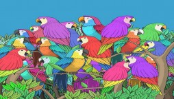Can you find a butterfly among these parrots?