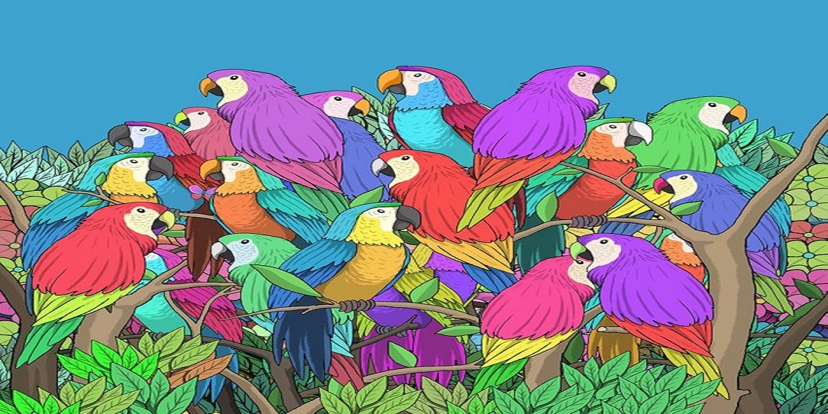 Can you find a butterfly among these parrots?