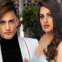 Have Asim Riaz, Himanshi Khurana Parted Ways?