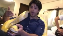 Watch: How Danyal Zafar Got Scared By A Snake