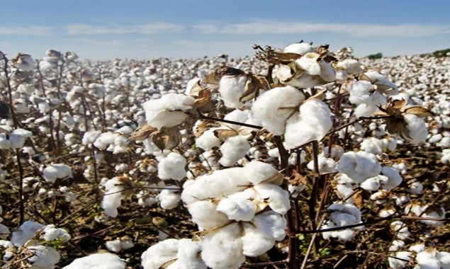 ECC allows import of sugar, cotton and yarn from India