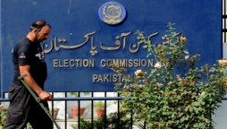 ECP