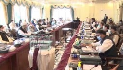 Cabinet Approves Action Against Oil Marketing Companies, Petroleum Dealers