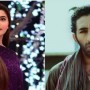 Why did Nida Yasir slap actor Adnan Tipu 21 times?